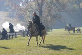 Enlarge photo 54