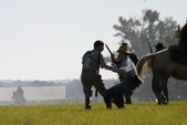 Enlarge photo 57