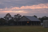Enlarge photo 65