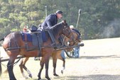 Enlarge photo 72
