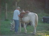 Enlarge photo 34