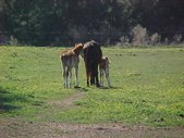 Enlarge photo 35