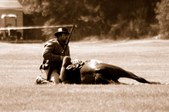 Enlarge photo 25