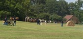 Enlarge photo 37