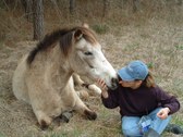 Enlarge photo 20