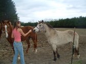 Enlarge photo 10