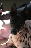 Enlarge photo 13