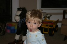 Enlarge photo 176