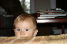Enlarge photo 64