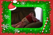 Enlarge photo 150