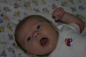 Enlarge photo 31