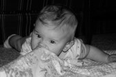 Enlarge photo 51