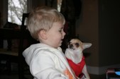 Enlarge photo 158
