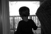 Enlarge photo 161