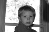 Enlarge photo 162