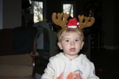 Enlarge photo 153