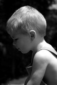 Enlarge photo 44