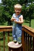 Enlarge photo 47