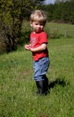 Enlarge photo 33