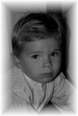 Enlarge photo 51