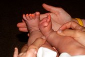 Enlarge photo 30