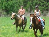Enlarge photo 44