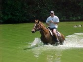 Summer Fun - 2004