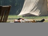 Enlarge photo 93