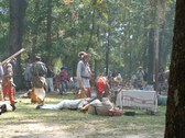 Enlarge photo 98
