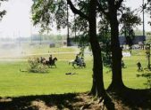 Enlarge photo 126