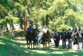 Enlarge photo 129