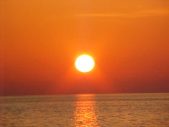 Enlarge photo 176
