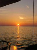 Enlarge photo 175