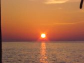 Enlarge photo 177
