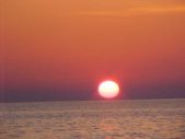 Enlarge photo 178