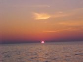 Enlarge photo 180