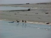 Enlarge photo 189