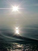 Enlarge photo 174