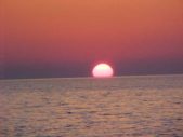 Enlarge photo 179