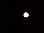 Enlarge photo 185