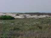 Enlarge photo 190