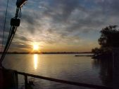 Enlarge photo 49