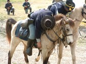 Enlarge photo 38