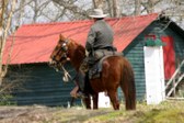 Enlarge photo 28