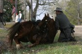 Enlarge photo 44
