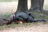 Enlarge photo 49