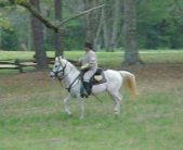 Enlarge photo 53