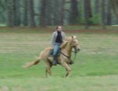 Enlarge photo 31