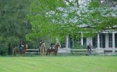 Enlarge photo 65