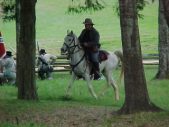Enlarge photo 87